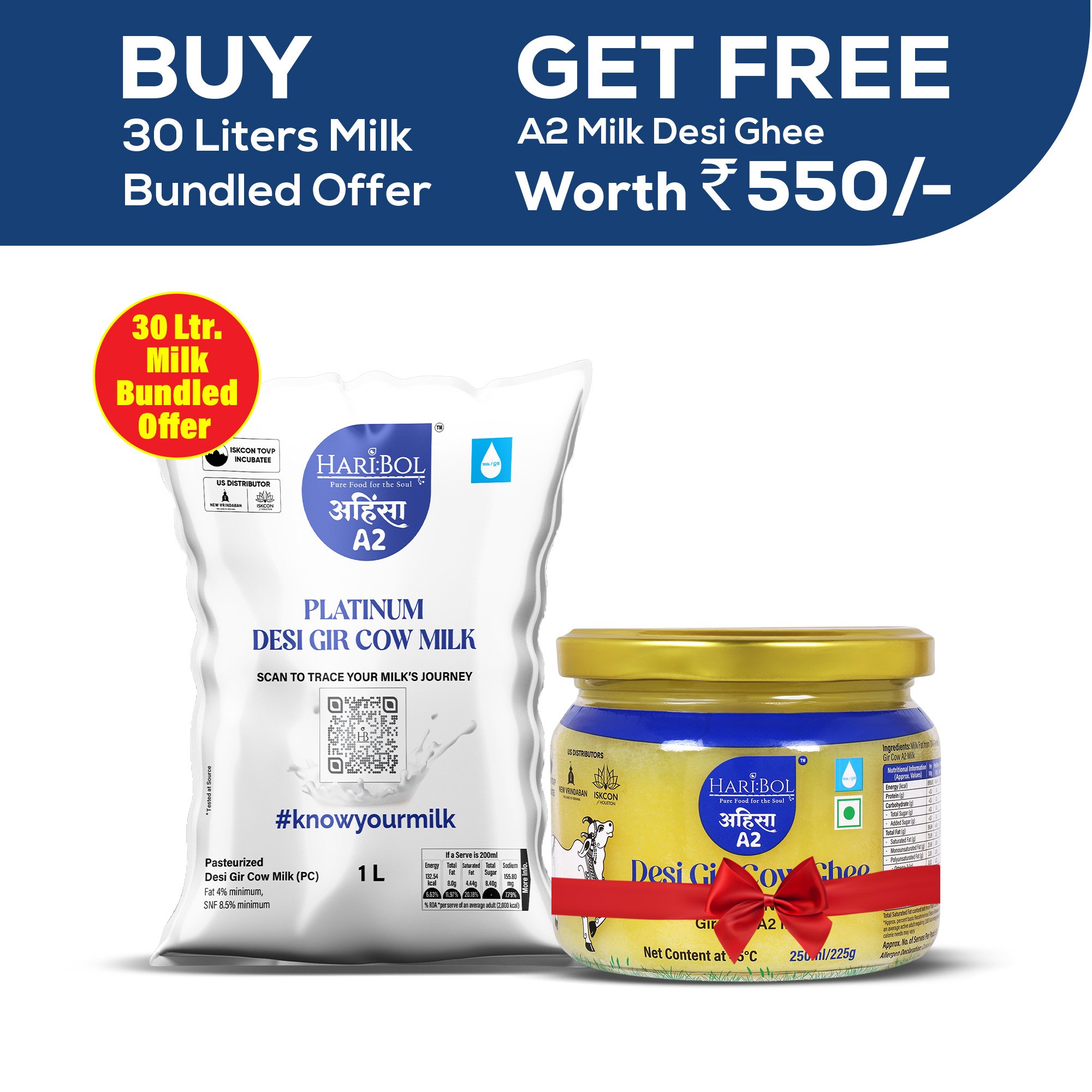 A close-up of a friendly dog.