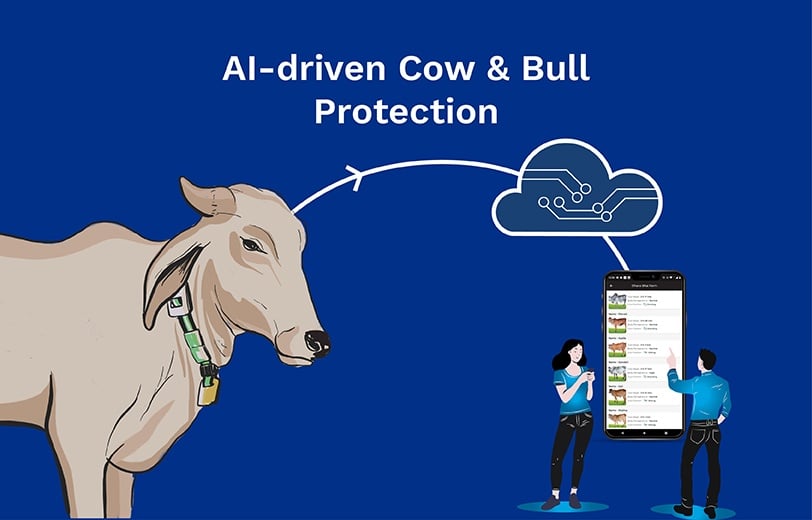 IOT & AI